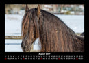 Die Welt der Pferde Fotokalender 2027 - 8