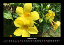Blumenkalender Fotokalender 2027 - 10