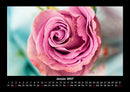 Blumenkalender Fotokalender 2027 - 1