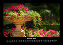 Blumenkalender Fotokalender 2027 - 2