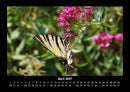 Blumenkalender Fotokalender 2027 - 4