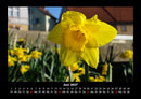 Blumenkalender Fotokalender 2027 - 6