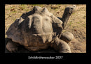 Schildkrötenzauber Fotokalender 2027 - Hauptbild