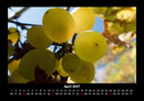 Obstkalender Fotokalender 2027 - 4