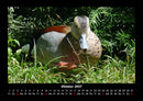 Welt der Vögel Fotokalender 2027 - 10