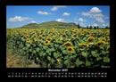 Blumenträume Fotokalender 2027 - 11