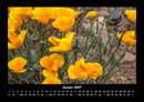Blumenträume Fotokalender 2027 - 1