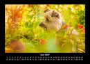 Blumenträume Fotokalender 2027 - 6