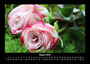 Rosentraum Fotokalender 2027 - 8