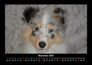 Hunde Fotokalender 2027 - 11