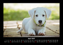 Hunde Fotokalender 2027 - 4