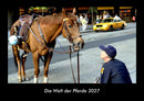 Die Welt der Pferde Fotokalender 2027 - Hauptbild