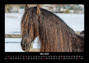 Die Welt der Pferde Fotokalender 2027 - 5