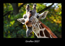 Giraffen Fotokalender 2027 - Hauptbild