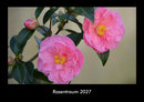 Rosentraum Fotokalender 2027 - Hauptbild