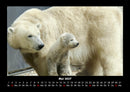 Tierkalender Fotokalender 2027 - 5
