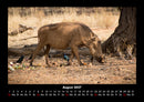 Tierkalender Fotokalender 2027 - 8