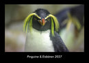 Pinguine & Eisbären Fotokalender 2027 - Hauptbild