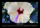 Bilder aus der Natur Fotokalender 2027 - 12