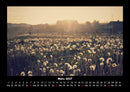 Bilder aus der Natur Fotokalender 2027 - 3