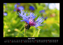 Bilder aus der Natur Fotokalender 2027 - 4