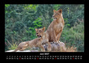 Bilder aus der Natur Fotokalender 2027 - 6