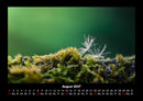 Bilder aus der Natur Fotokalender 2027 - 8