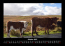 Kuhkalender Fotokalender 2027 - 10