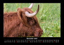 Kuhkalender Fotokalender 2027 - 11