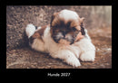 Hunde Fotokalender 2027 - Hauptbild