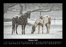 Pferdetraum Fotokalender 2027 - 10