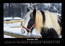 Pferdetraum Fotokalender 2027 - 11
