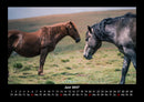 Pferdetraum Fotokalender 2027 - 6