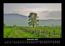 Bäume Fotokalender 2027 - 9