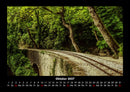 Bäume Fotokalender 2027 - 10