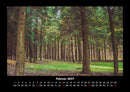 Bäume Fotokalender 2027 - 2