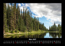 Bäume Fotokalender 2027 - 3