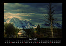 Bäume Fotokalender 2027 - 4
