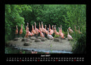 Bäume Fotokalender 2027 - 6