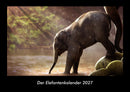 Der Elefantenkalender Fotokalender 2027 - Hauptbild