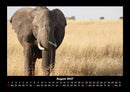 Der Elefantenkalender Fotokalender 2027 - 8