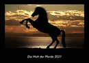 Die Welt der Pferde Fotokalender 2027 - Hauptbild