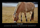 Die Welt der Pferde Fotokalender 2027 - 2