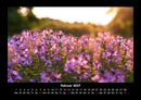 Blumenkalender Fotokalender 2027 - 2