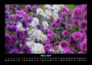 Blumenkalender Fotokalender 2027 - 3