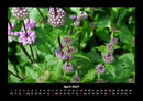 Blumenkalender Fotokalender 2027 - 4