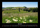 Blumenkalender Fotokalender 2027 - 5