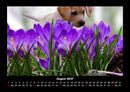 Blumenkalender Fotokalender 2027 - 8