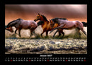 Pferde Kalender Fotokalender 2027 - 1