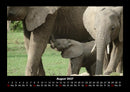 Elefanten Fotokalender 2027 - 8